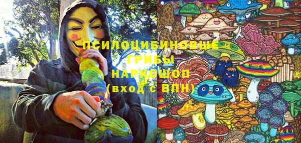 бутират Алексин