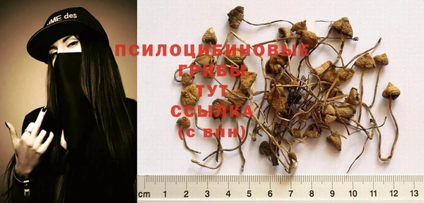 скорость Алзамай