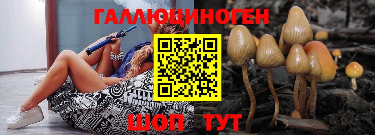 Псилоцибиновые грибы GOLDEN TEACHER  продажа наркотиков  Невинномысск  Вход с VPN 